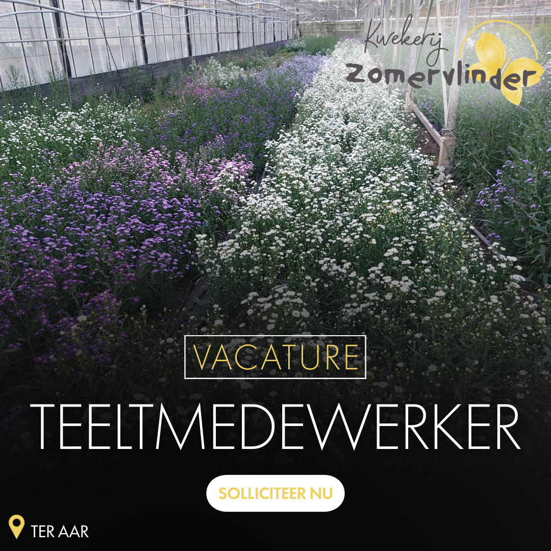 Campagnebeeld Kwekerij Zomervlinder: Teeltmedewerker