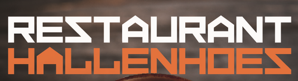 't Hallenhoes Exloo logo